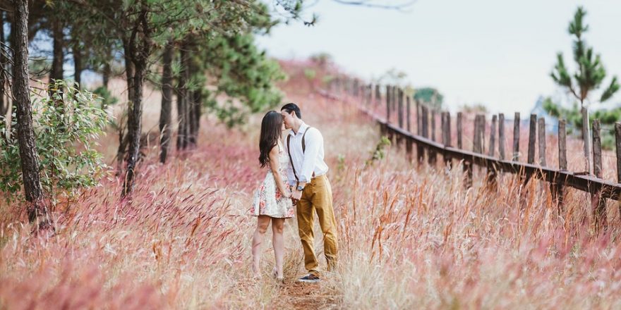 La pareja perfecta para Tauro